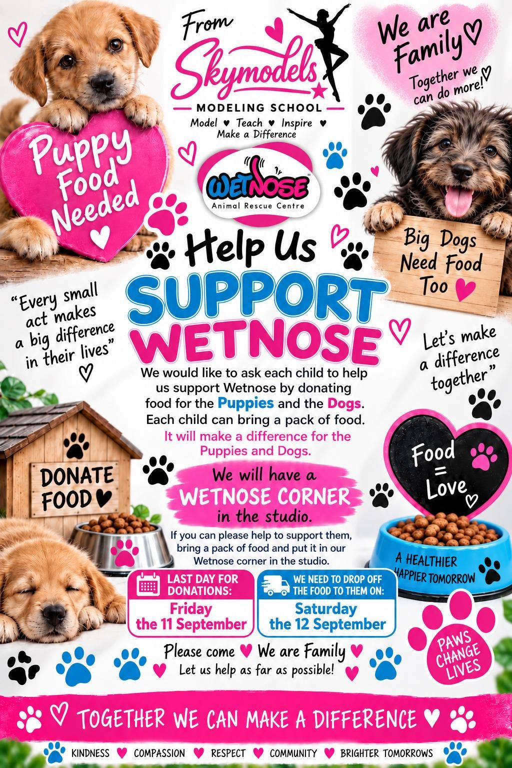 Skymodels Modelling School Wetnose puppy and dog food drive with donation dates